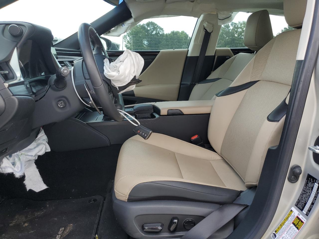 2020 Lexus Es 300H VIN: 58AD21B12LU008691 Lot: 60406695