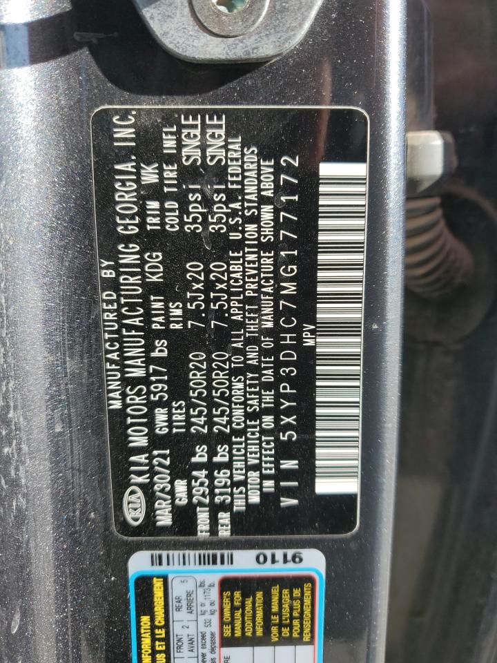 2021 Kia Telluride Ex VIN: 5XYP3DHC7MG177172 Lot: 59807955