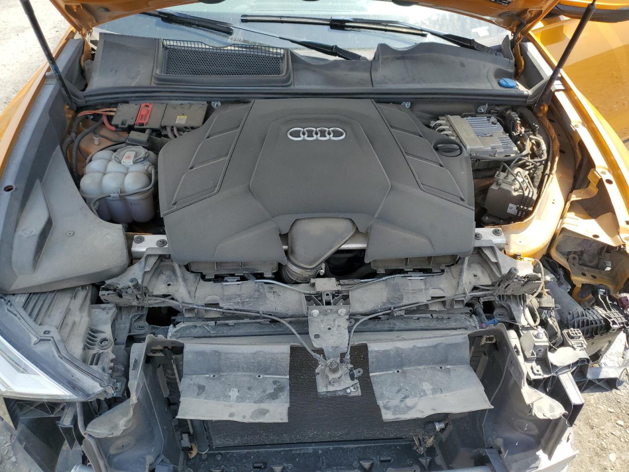 2019 Audi Q8 Premium Plus S-Line VIN: WA1EVAF15KD007349 Lot: 62086555