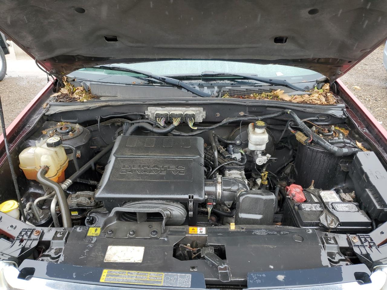 2010 Ford Escape Xlt VIN: 1FMCU9DG5AKB53388 Lot: 58812645