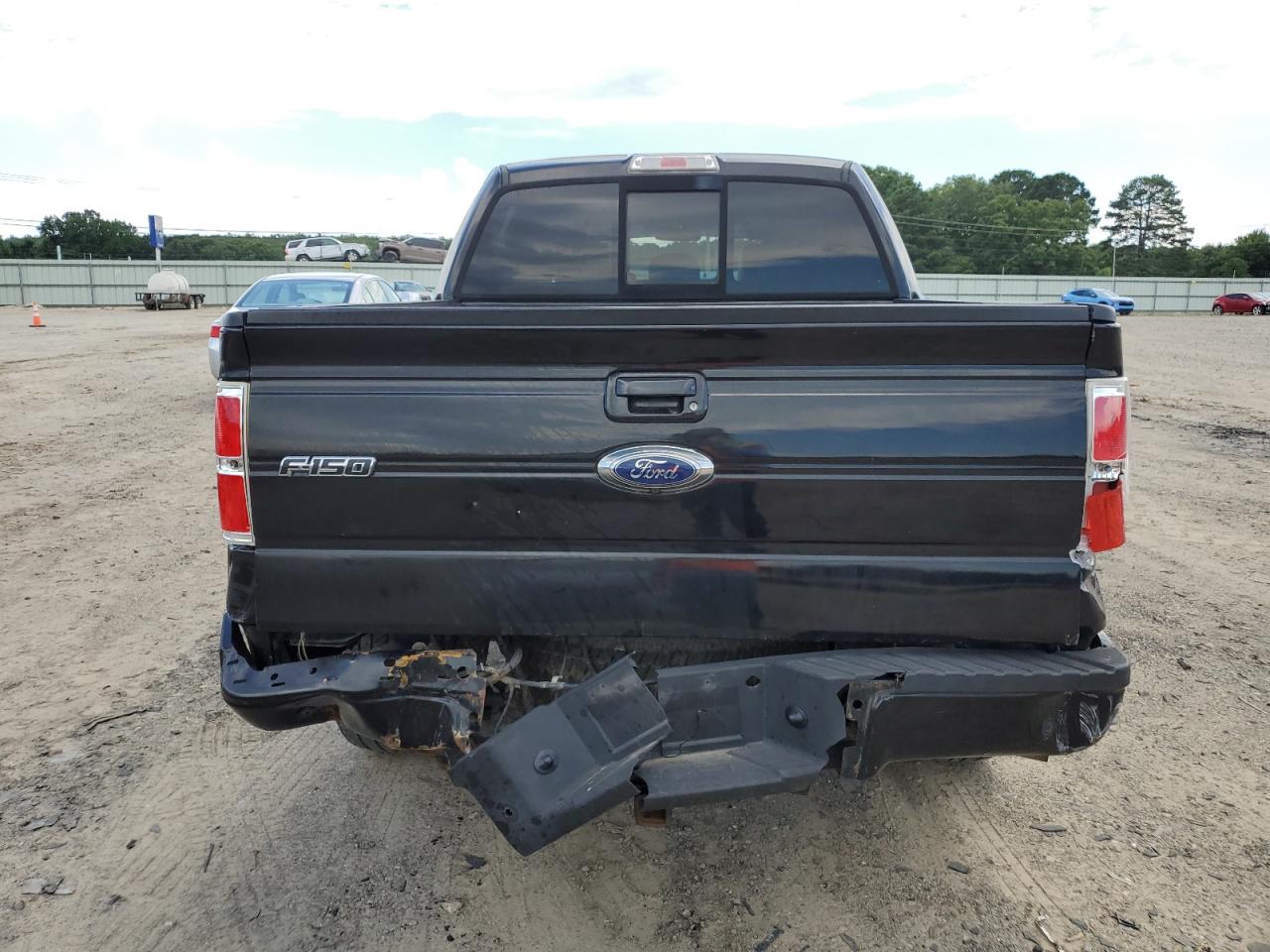 2013 Ford F150 Supercrew VIN: 1FTFW1EF9DFB36173 Lot: 62941645