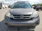 2010 Honda Cr-V Exl   იყიდება Lebanon-ში, TN - Rear End