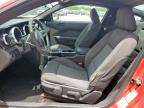 2005 Ford Mustang    продається в Mercedes, TX - Minor Dent/Scratches