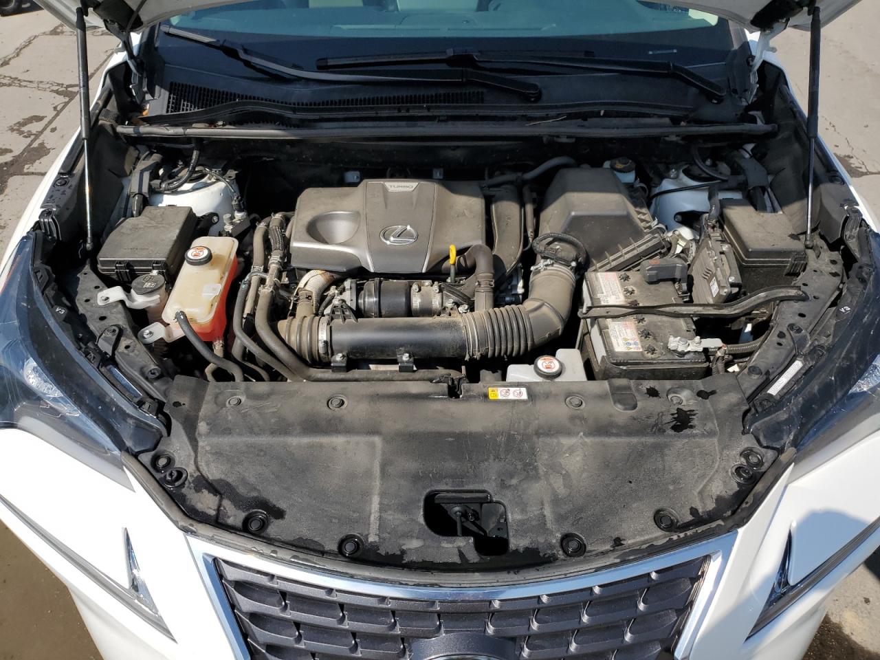 2019 Lexus Nx 300 Base VIN: JTJBARBZ0K2206526 Lot: 62949685