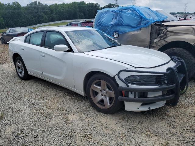  DODGE CHARGER 2019 Два тона