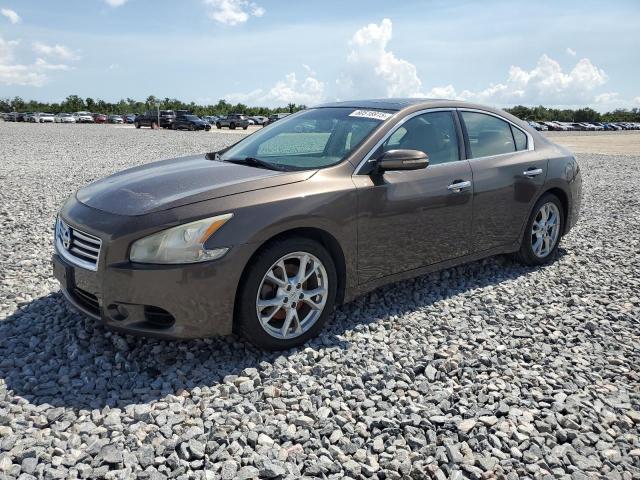  NISSAN MAXIMA 2014 Brązowy