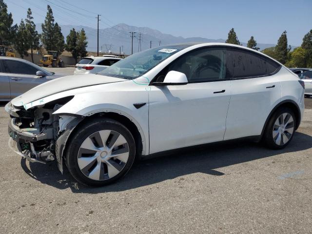  TESLA MODEL Y 2021 White