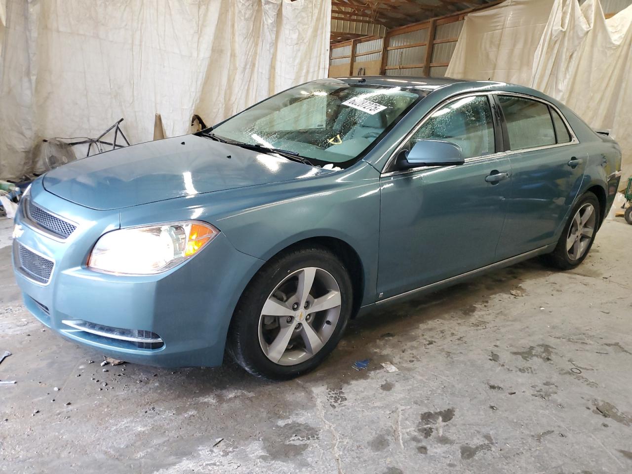 2009 Chevrolet Malibu 2Lt იყიდება Madisonville-ში, TN - Rear End