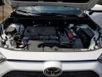 2025 TOYOTA RAV4 XLE   for sale at Copart ON - TORONTO