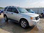 2009 Ford Escape Xlt de vânzare în Louisville, KY - Hail