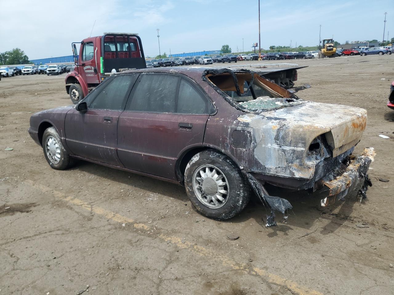 鶴さま 81ZDuHMdIvL._UF350,350_QL80_.jpg