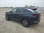 2024 HYUNDAI TUCSON BLUE   for sale at Copart WI - APPLETON