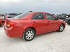 2010 Toyota Corolla Base   for Sale in Haslet, TX - Front End