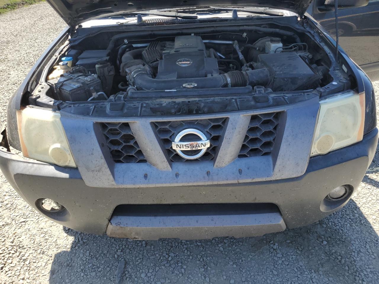 2006 Nissan Xterra Off Road VIN: 5N1AN08W76C534243 Lot: 61383645