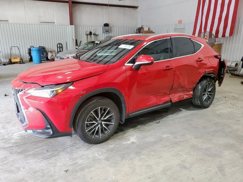 LEXUS NX 350 PRE 2024