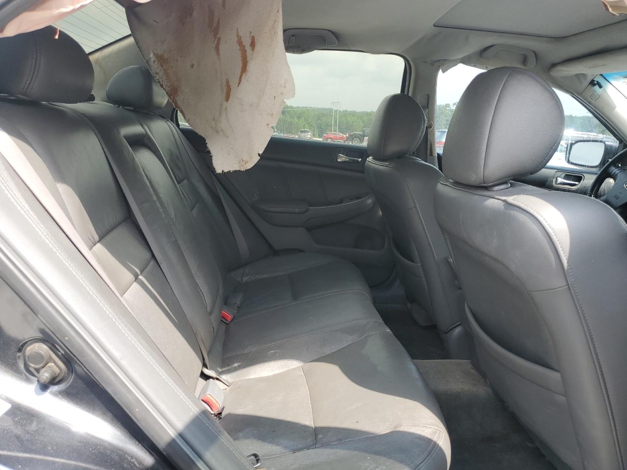 2006 Honda Accord Ex VIN: 1HGCM568X6A043261 Lot: 62851745
