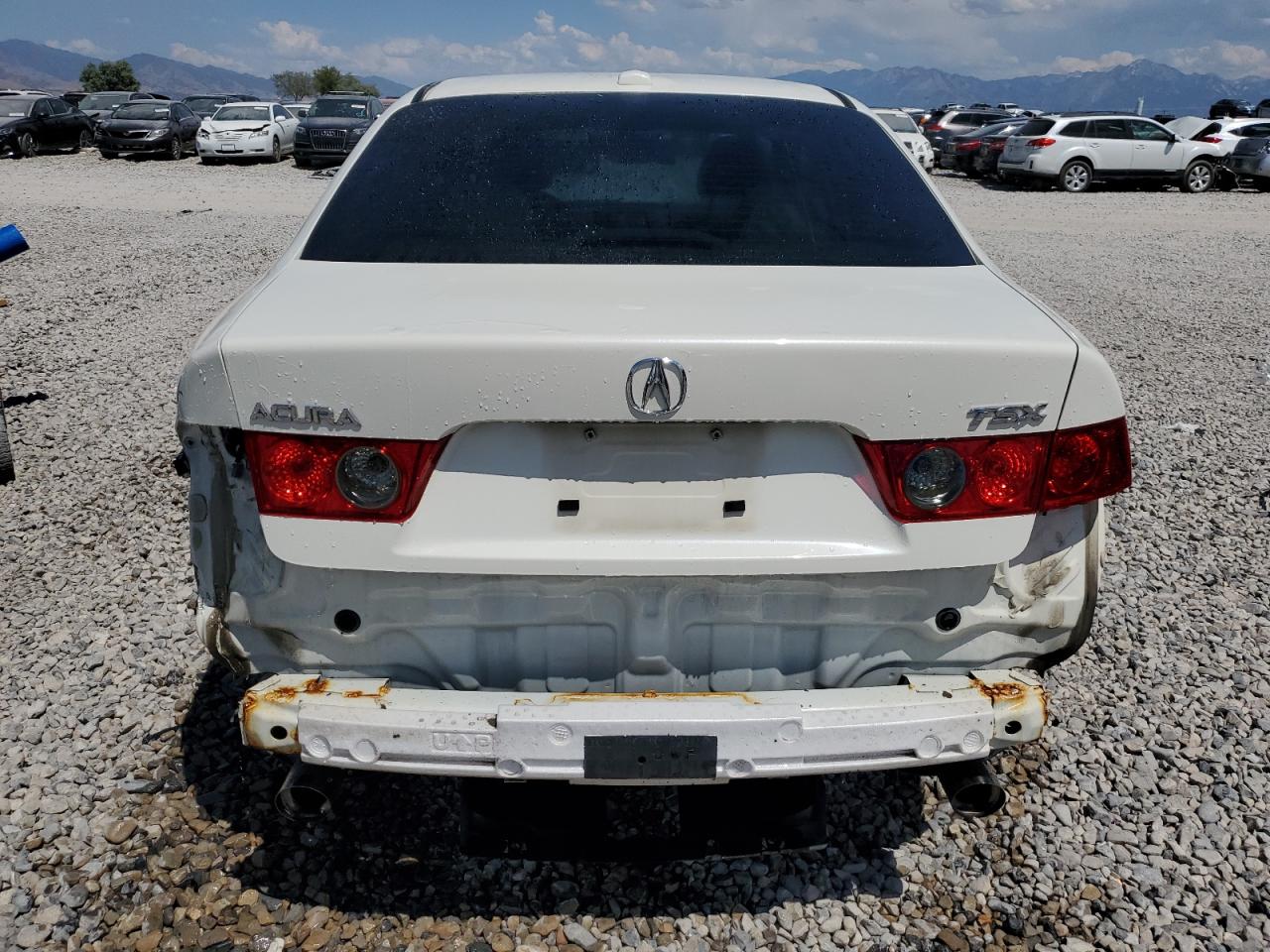 2008 Acura Tsx VIN: JH4CL96808C002314 Lot: 62173475