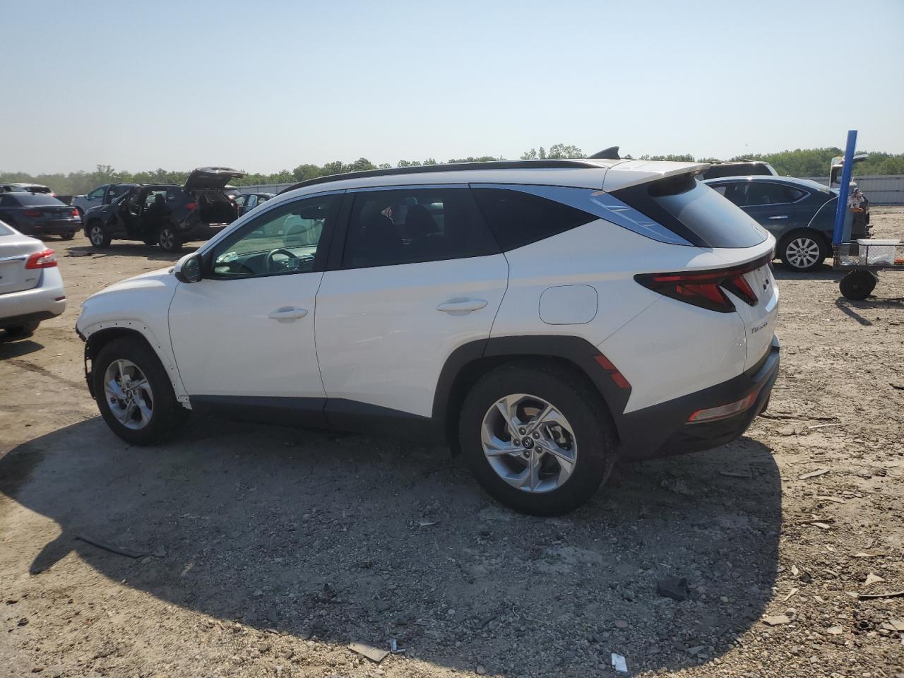 2024 Hyundai Tucson Sel VIN: 5NMJB3DE8RH402559 Lot: 62638315
