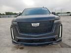 2024 CADILLAC ESCALADE V    for sale at Copart TX - DALLAS SOUTH