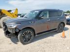 2023 Infiniti Qx80 Luxe   zu verkaufen in Houston, TX - Front End