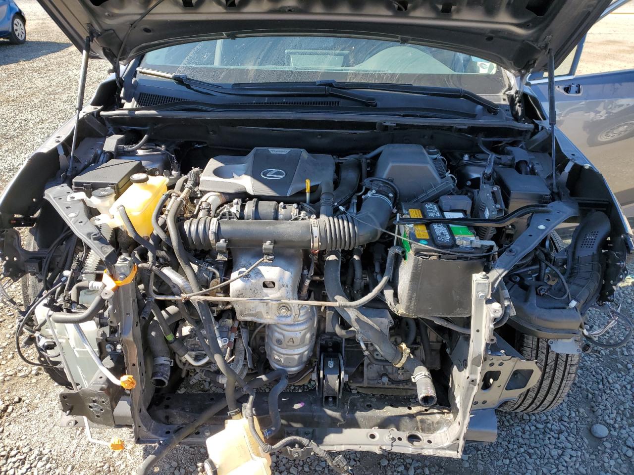 2019 Lexus Nx 300 Base VIN: JTJYARBZ5K2133843 Lot: 62937285
