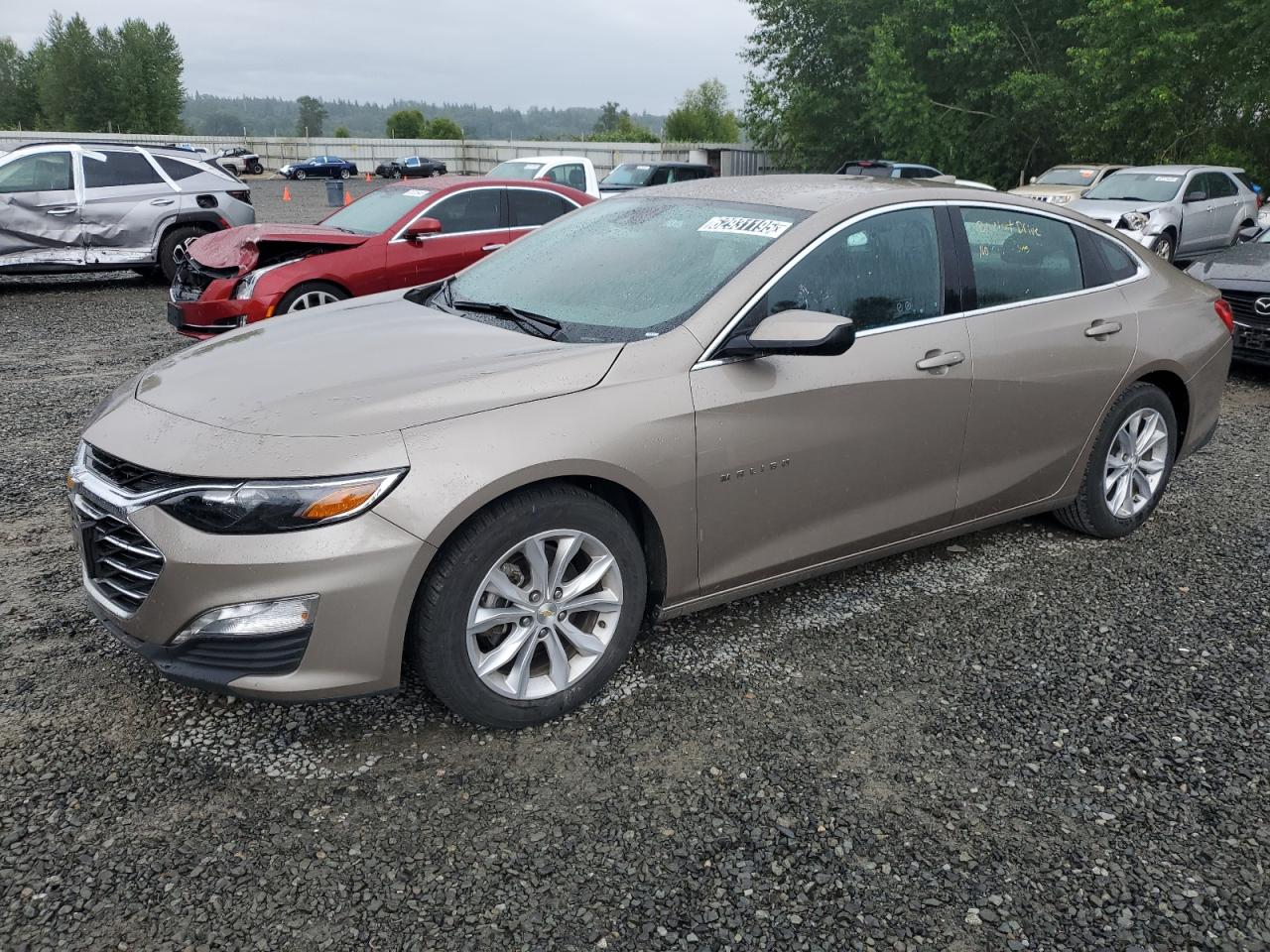 1G1ZD5ST9PF178229 CHEVROLET MALIBU 2023