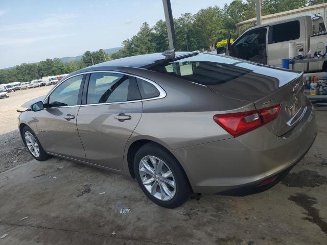  CHEVROLET MALIBU 2024 Gray