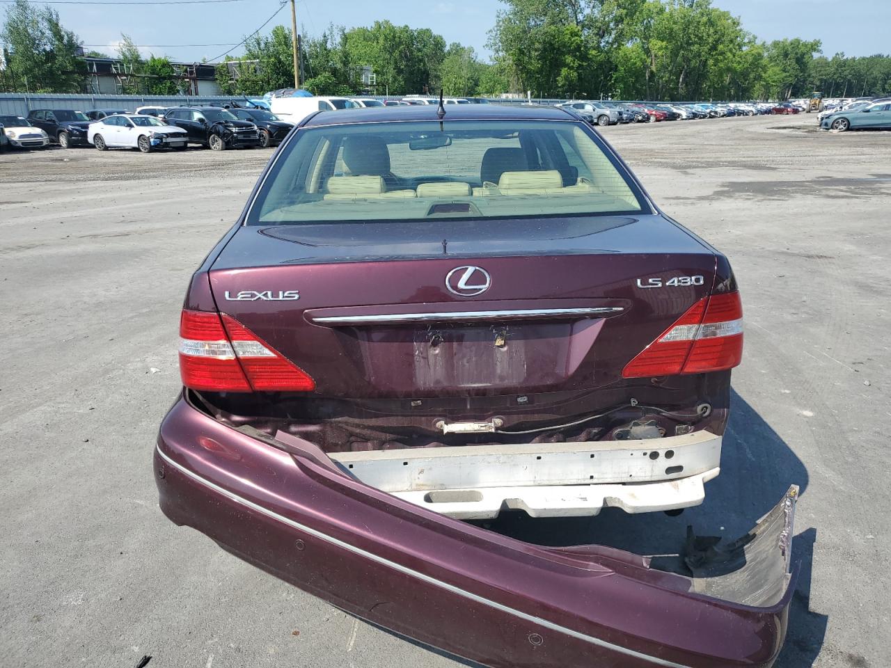 2004 Lexus Ls 430 VIN: JTHBN36F640163456 Lot: 62081245
