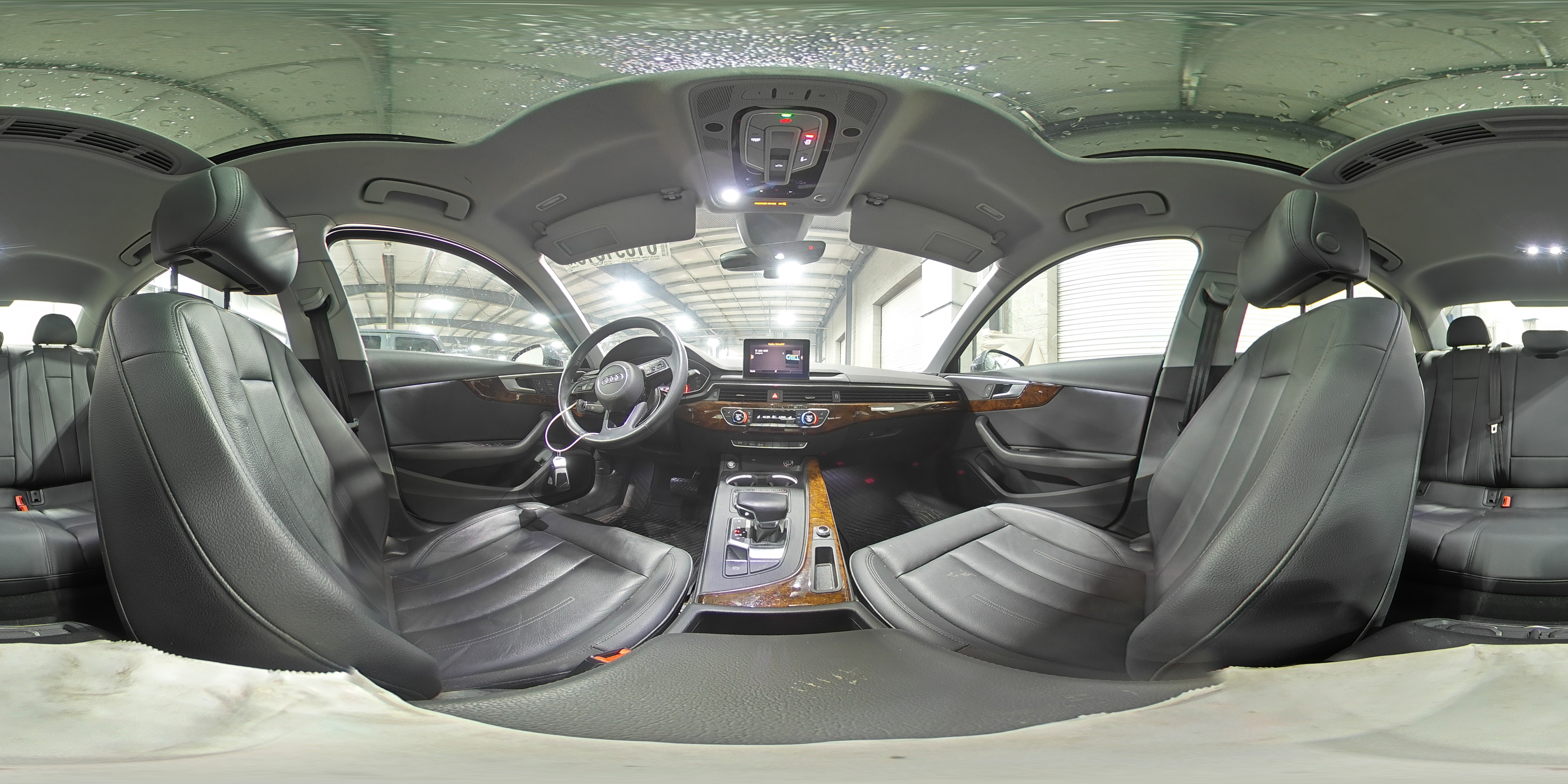 2019 Audi A4 Premium VIN: WAUDNAF4XKA117906 Lot: 61091315