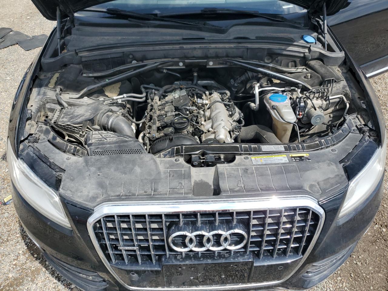 2014 Audi Q5 Premium Plus VIN: WA1LFAFP8EA043065 Lot: 60355315