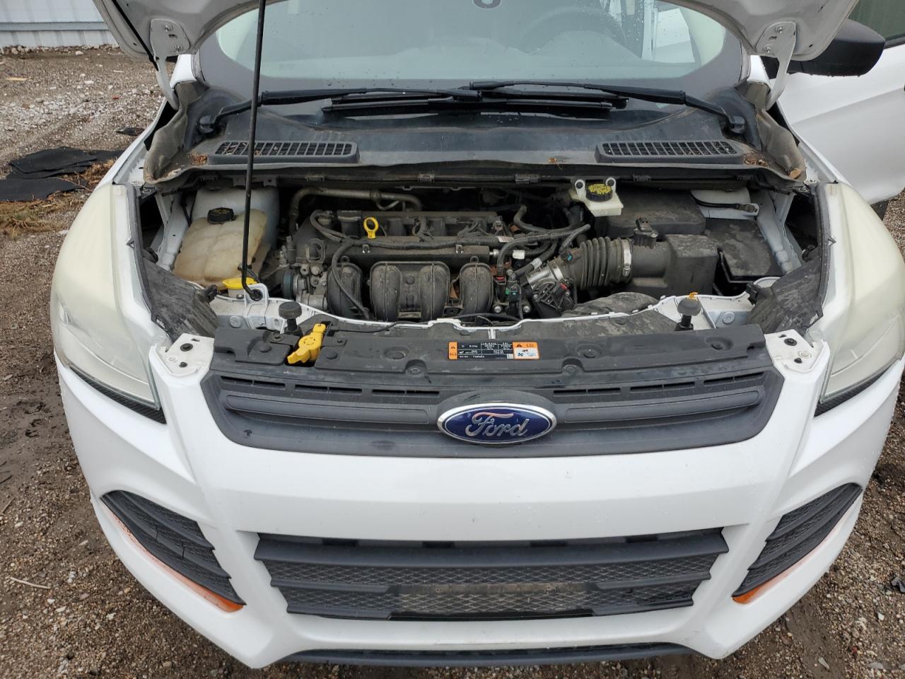 2014 Ford Escape S VIN: 1FMCU0F72EUC07801 Lot: 59981815