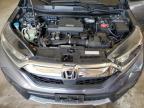 2019 Honda Cr-V Exl   en Venta en Ham Lake, MN - Hail