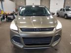 2014 Ford Escape Se იყიდება Blaine-ში, MN - Minor Dent/Scratches