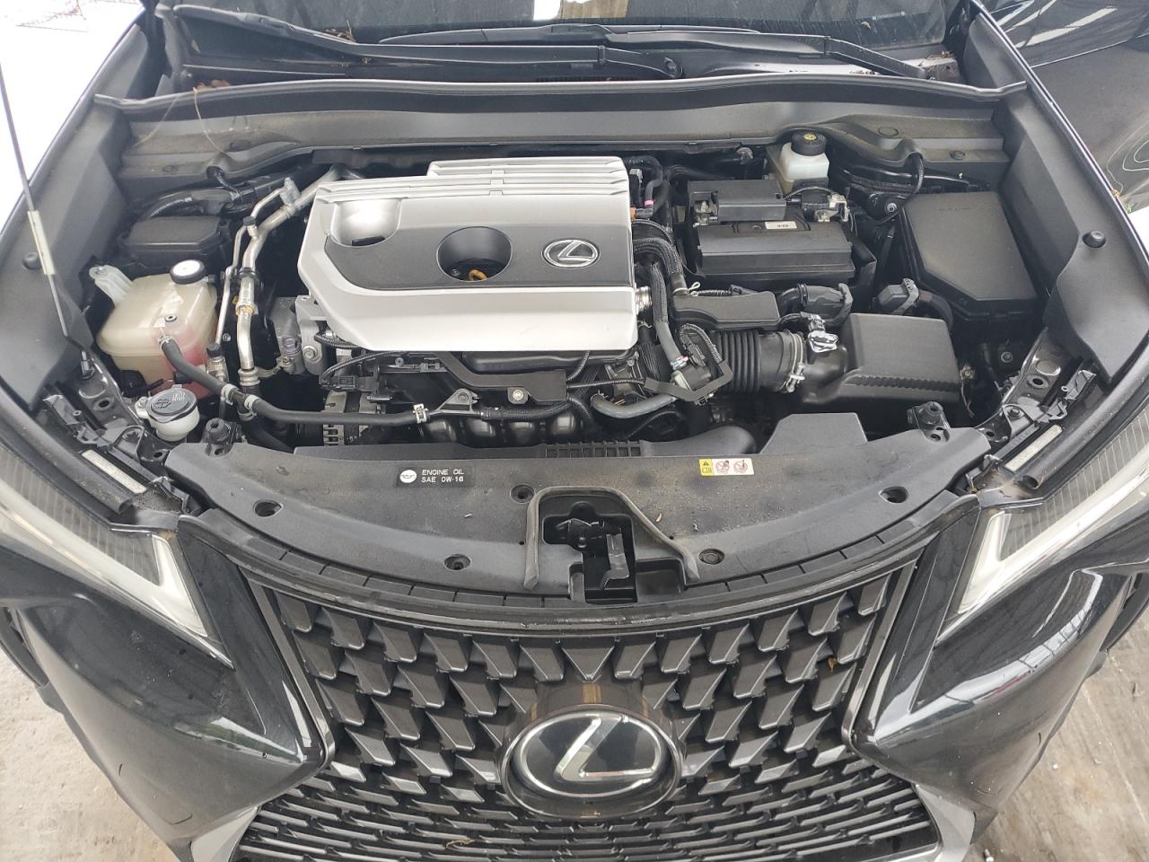 2019 Lexus Ux 200 VIN: JTHY3JBH1K2017429 Lot: 59919205