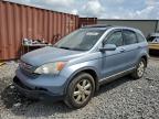 Hueytown, AL에서 판매 중인 2009 Honda Cr-V Exl - Front End