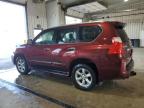 2010 Lexus Gx 460 Premium продається в York Haven, PA - Front End