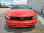 2005 Ford Mustang    продається в Mercedes, TX - Minor Dent/Scratches