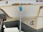 2022 'Other Boat' Vr6 Br(*) for Sale in Riverview, FL - All Over
