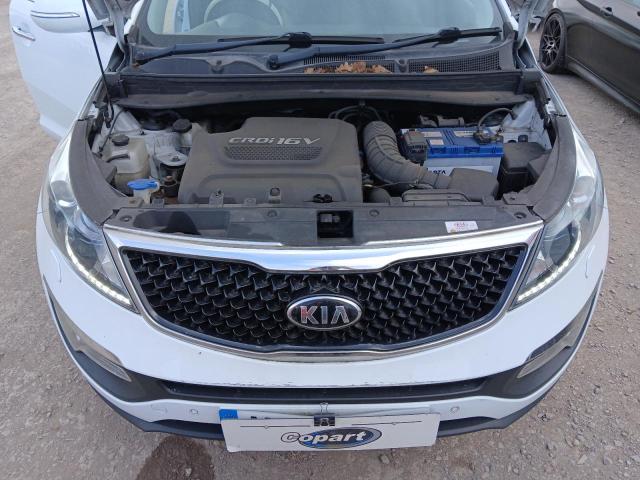 2014 KIA SPORTAGE K