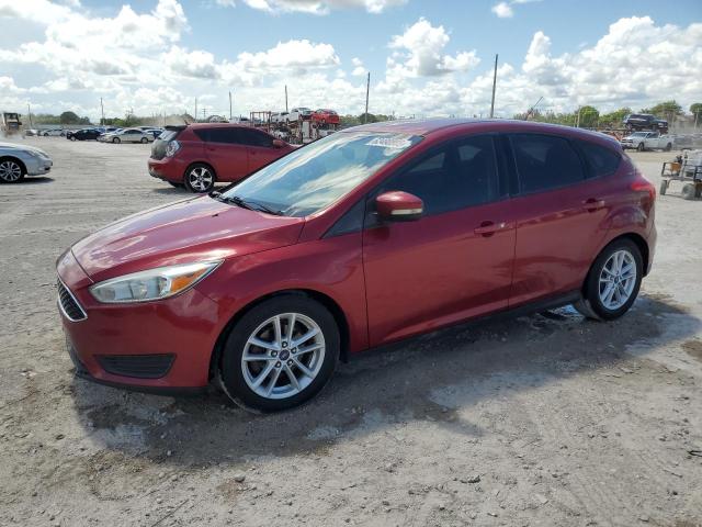 Hatchbacks FORD FOCUS 2016 Red