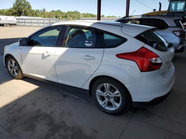  FORD FOCUS 2014 White