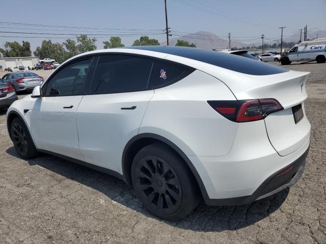  TESLA MODEL Y 2023 White