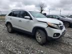 2011 Kia Sorento Ex   zu verkaufen in Cicero, IN - Front End