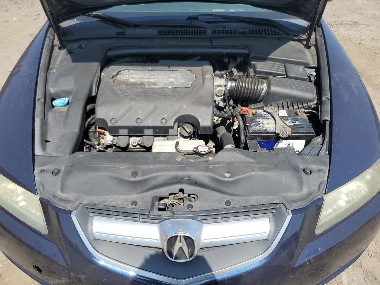 2004 Acura Tl VIN: 19UUA662X4A050724 Lot: 62362405