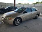 2004 Honda Accord Ex   за продажба в Homestead, FL - All Over