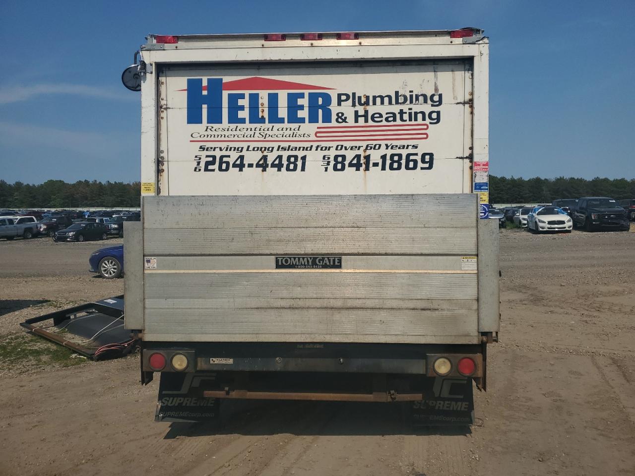 2009 Chevrolet Express G3500 VIN: 1GBHG31C691177043 Lot: 59303005