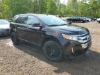 2014 FORD EDGE SEL   for sale at Copart ON - COOKSTOWN