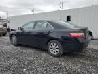 2009 Toyota Camry Base zu verkaufen in Albany, NY - Front End