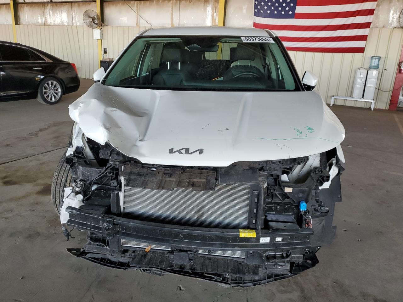 2024 Kia Carnival Ex VIN: KNDNC5H33R6442810 Lot: 60973065