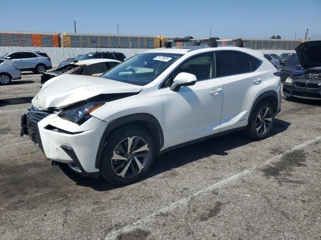  LEXUS NX 2020 Biały